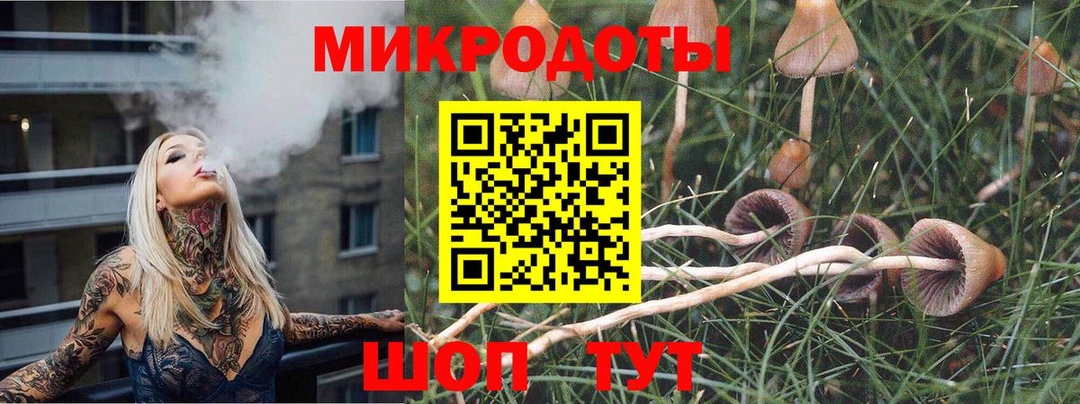 Псилоцибиновые грибы Magic Shrooms Тайшет