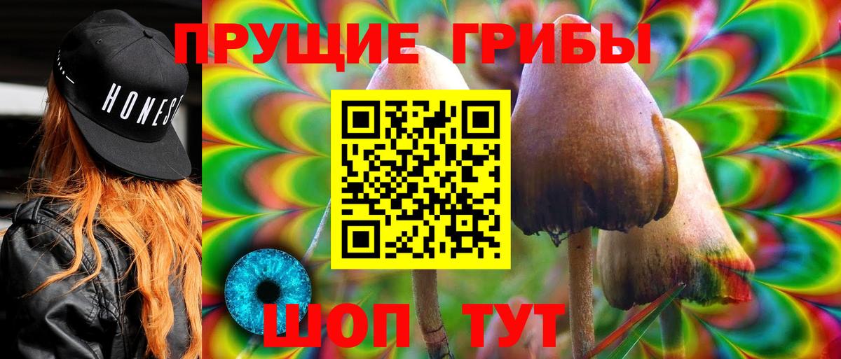 Тайшет  Галлюциногенные грибы MAGIC MUSHROOMS  Галлюциногенные грибы прущие грибы  Вход с VPN 