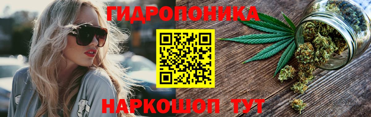 Конопля Ganja  Конопля White Widow  Тайшет  Вход с VPN  Конопля план 
